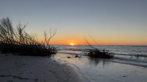 The Ultimate Guide to Dunedin, Florida | Discover Delightful Dunedin