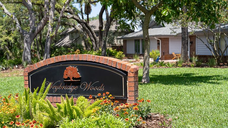 The Best Neighborhoods in Dunedin, Florida — A Local’s Guide to Where You’ll Actually Want to Live