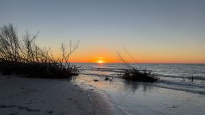 Every Park in Dunedin, Florida: The Most Complete Guide Ever Written