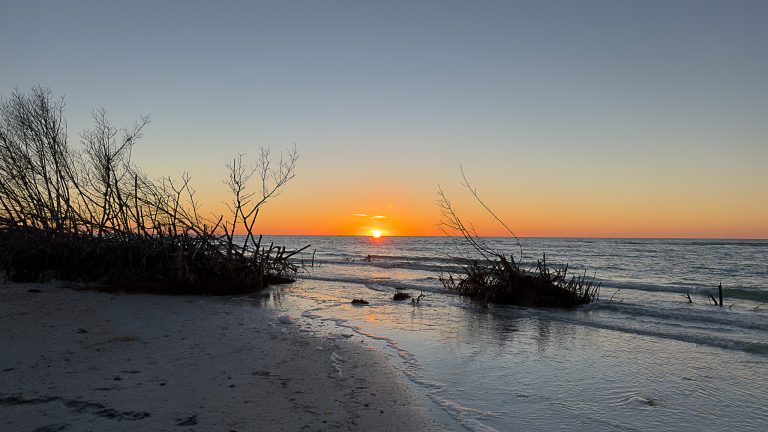 Every Park in Dunedin, Florida: The Most Complete Guide Ever Written