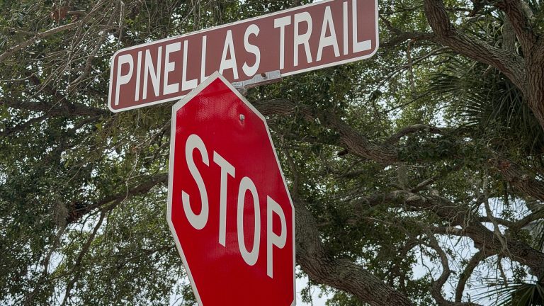 The Pinellas Trail Through Dunedin: A Complete Guide
