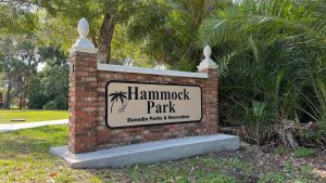 Hammock Park: A Complete Guide to Dunedin’s 90-Acre Wild Heart