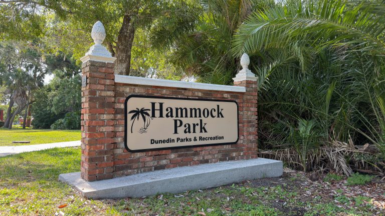 Hammock Park: A Complete Guide to Dunedin’s 90-Acre Wild Heart